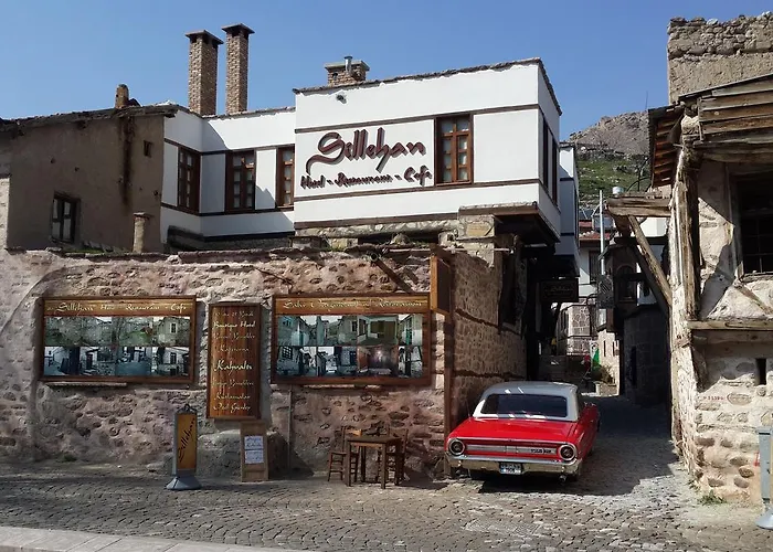 Sillehan Boutique فندق